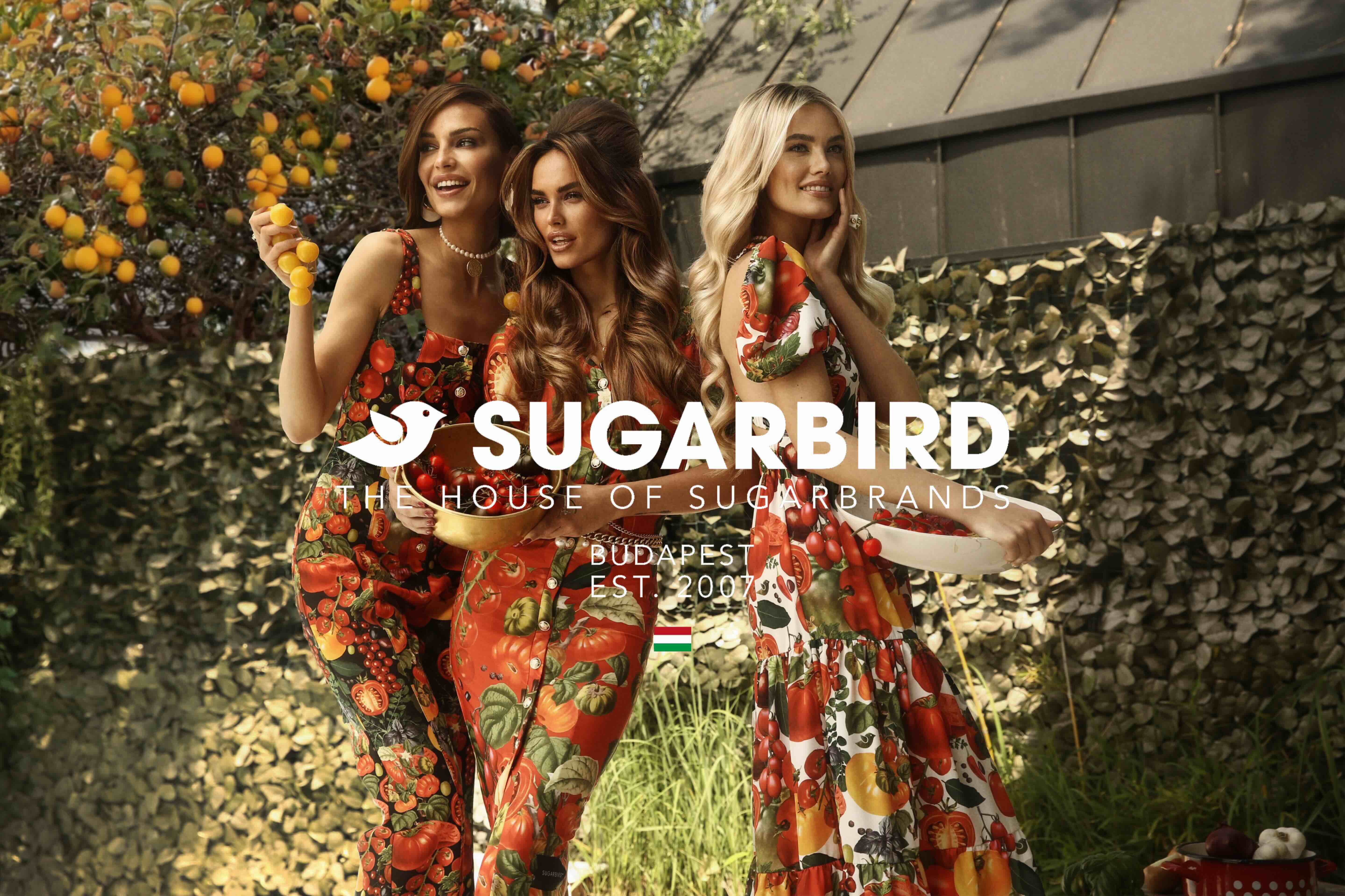SUGARBIRD SUMMER — image 3