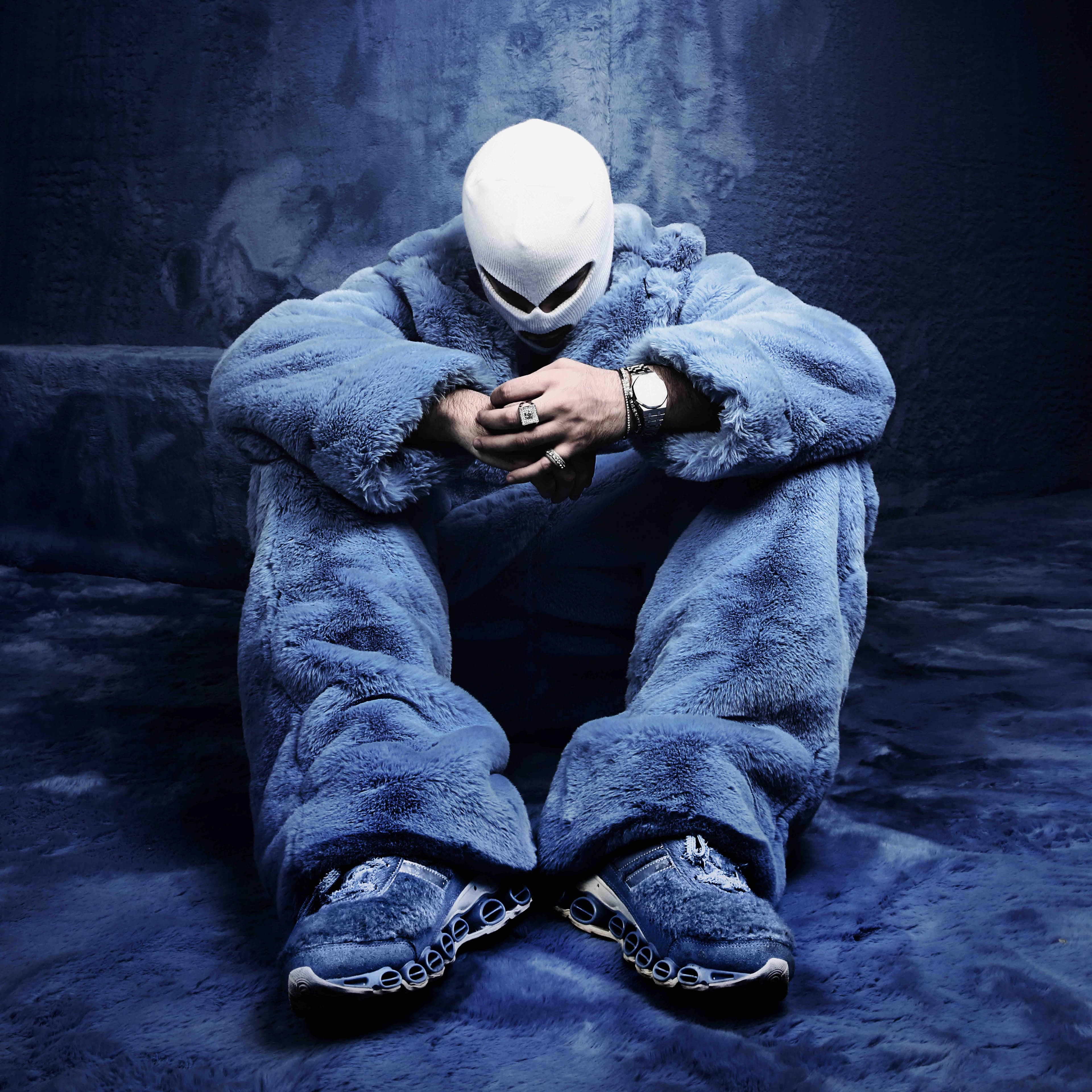 DEVITO PLAVA KRV — image 4